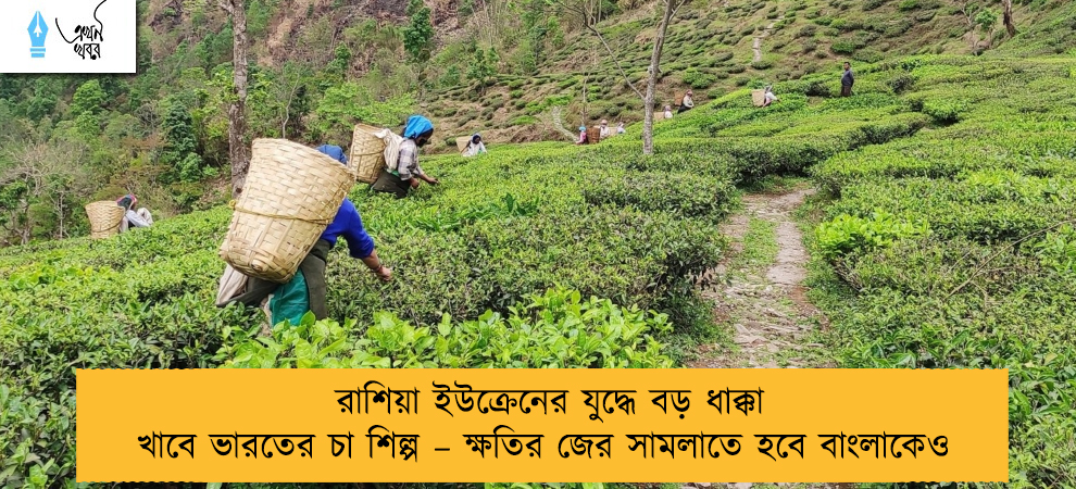 রাশিয়া ইউক্রেনের যুদ্ধে বড় ধাক্কা খাবে ভারতের চা শিল্প – ক্ষতির জের সামলাতে হবে বাংলাকেও