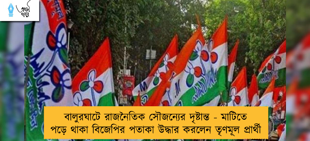 বালুরঘাটে রাজনৈতিক সৌজন্যের দৃষ্টান্ত - মাটিতে পড়ে থাকা বিজেপির পতাকা উদ্ধার করলেন তৃণমূল প্রার্থী