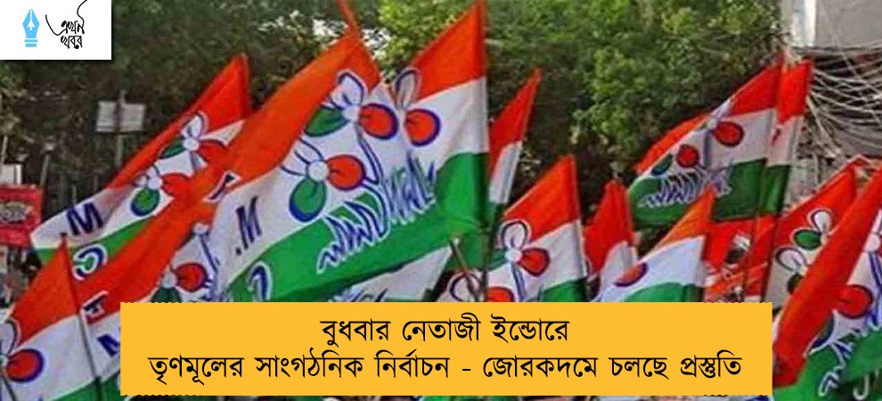 বুধবার নেতাজী ইন্ডোরে তৃণমূলের সাংগঠনিক নির্বাচন - জোরকদমে চলছে প্রস্তুতি