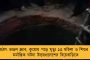 ফিরহাদের গাড়ির সামনে টোটো উলটে জখম টোটো চালক - উদ্ধারকার্যে হাত লাগালেন খোদ মন্ত্রী, সাধুবাদ জনতার