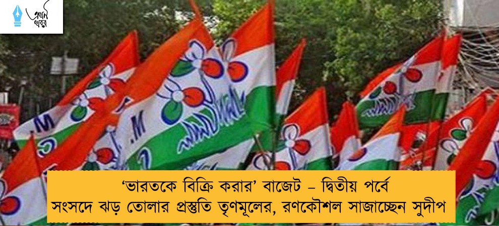 ‘ভারতকে বিক্রি করার’ বাজেট – দ্বিতীয় পর্বে সংসদে ঝড় তোলার প্রস্তুতি তৃণমূলের, রণকৌশল সাজাচ্ছেন সুদীপ