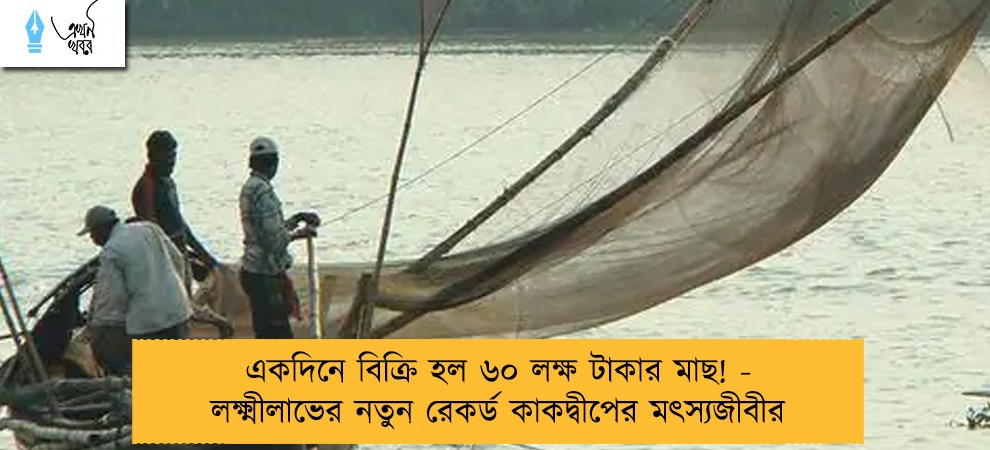 একদিনে বিক্রি হল ৬০ লক্ষ টাকার মাছ! - লক্ষ্মীলাভের নতুন রেকর্ড কাকদ্বীপের মৎস্যজীবীর
