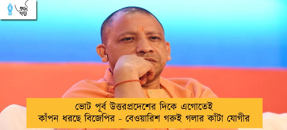 ভোট পূর্ব উত্তরপ্রদেশের দিকে এগোতেই কাঁপন ধরছে বিজেপির - বেওয়ারিশ গরুই গলার কাঁটা যোগীর