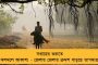 দোলের আগেই তৃণমূলের রাজ্য কমিটি ঘোষণার সম্ভাবনা – ৮ মার্চ বৈঠক ডাকলেন মমতা