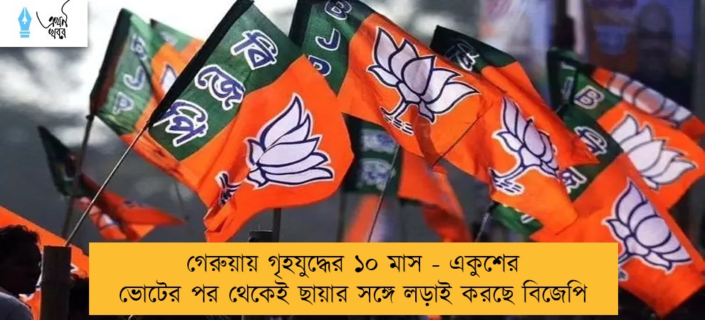 গেরুয়ায় গৃহযুদ্ধের ১০ মাস - একুশের ভোটের পর থেকেই ছায়ার সঙ্গে লড়াই করছে বিজেপি