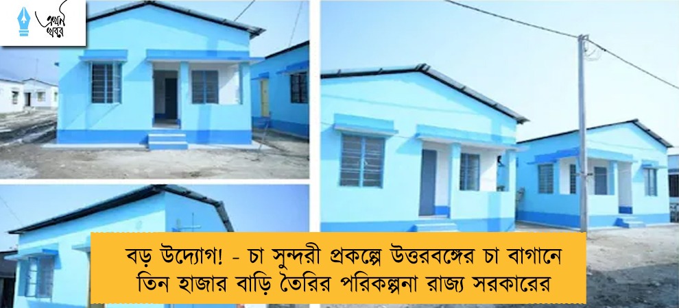 বড় উদ্যোগ! - চা সুন্দরী প্রকল্পে উত্তরবঙ্গের চা বাগানে তিন হাজার বাড়ি তৈরির পরিকল্পনা রাজ্য সরকারের