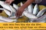 বিশ্ববাংলা লোগো রাজ্য সরকারের প্রতীক, এ নিয়ে রাজনীতি করা উচিত নয় - বিরোধীদের তুলোধনা ব্রাত্যর