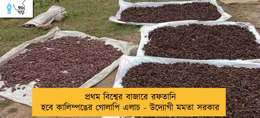 প্রথম বিশ্বের বাজারে রফতানি হবে কালিম্পঙের গোলাপি এলাচ - উদ্যোগী মমতা সরকার