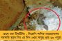অনলাইনে পরীক্ষার দাবি! - বিক্ষোভ যাদবপুর বিশ্ববিদ্যালয়ের পড়ুয়াদের, অসুস্থ উপাচার্য