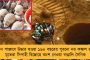 পদত্যাগ করুন বিপ্লব – চাকরি, আইনশৃঙ্খলা-সহ একাধিক দাবিতে ত্রিপুরায় আন্দোলনে তৃণমূলের নয়া কমিটি