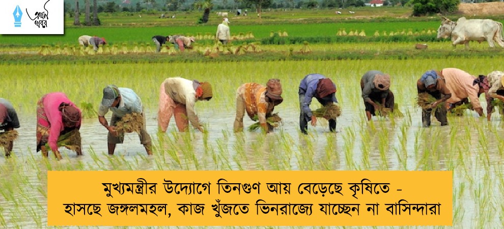মুখ্যমন্ত্রীর উদ্যোগে তিনগুণ আয় বেড়েছে কৃষিতে - হাসছে জঙ্গলমহল, কাজ খুঁজতে ভিনরাজ্যে যাচ্ছেন না বাসিন্দারা