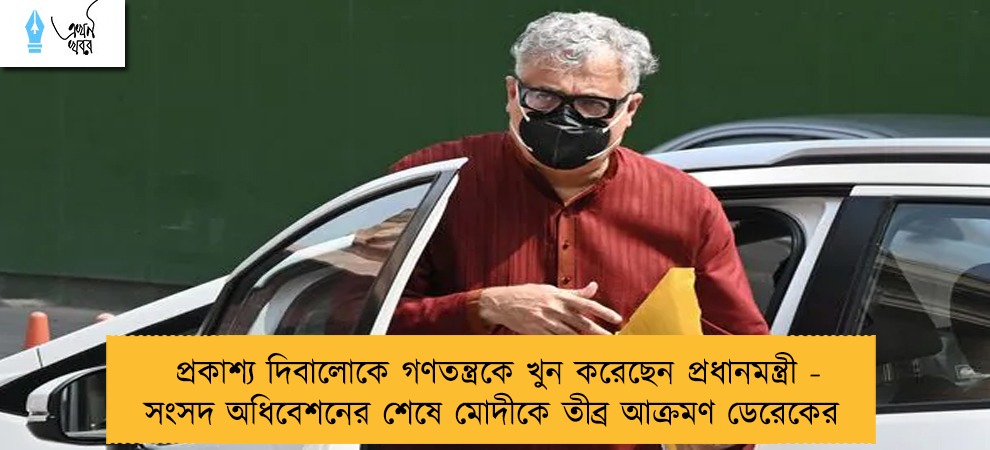 প্রকাশ্য দিবালোকে গণতন্ত্রকে খুন করেছেন প্রধানমন্ত্রী - সংসদ অধিবেশনের শেষে মোদীকে তীব্র আক্রমণ ডেরেকের