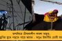 'টি-টোয়েন্টি বিশ্বকাপে সুযোগ পাওয়া উচিত উমেশের' - মত টিম সাউদির