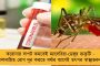 শতাব্দী এক্সপ্রেসে যাত্রীদের দেওয়া হচ্ছে বিশেষ ‘আর্যাবর্ত এক্সপ্রেস’ সংবাদপত্র – চলছে হিন্দুত্ববাদী প্রচার