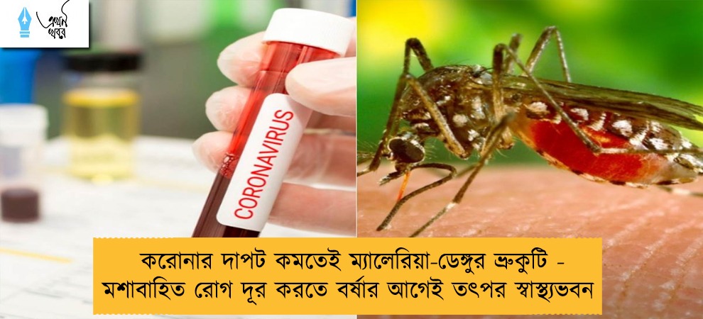 করোনার দাপট কমতেই ম্যালেরিয়া-ডেঙ্গুর ভ্রুকুটি - মশাবাহিত রোগ দূর করতে বর্ষার আগেই তৎপর স্বাস্থ্যভবন
