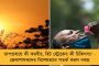 মা-মাটি-মানুষ সরকারের ১১তম বর্ষপূর্তি - একমাসব্যাপী অনুষ্ঠানের পরিকল্পনা করছে রাজ্যে