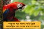 কেন্দ্রীয় জুট কর্পোরেশনের অফিসে গিয়ে ধর্ণা দেব – মোদী সরকারের অস্বস্তি বাড়ালেন অর্জুন