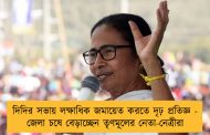 দিদির সভায় লক্ষাধিক জমায়েত করতে দৃঢ় প্রতিজ্ঞ - জেলা চষে বেড়াচ্ছেন তৃণমূলের নেতা-নেত্রীরা