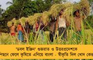 'ডবল ইঞ্জিন' গুজরাত ও উত্তরপ্রদেশকে পিছনে ফেলে কৃষিতে এগিয়ে বাংলা - স্বীকৃতি দিল খোদ কেন্দ্র