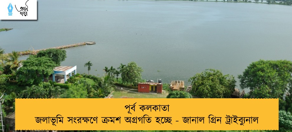 পূর্ব কলকাতা জলাভূমি সংরক্ষণে ক্রমশ অগ্রগতি হচ্ছে - জানাল গ্রিন ট্রাইব্যুনাল