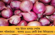 গড়ে উঠতে চলেছে পেয়াঁজ সংরক্ষণ পরিকাঠামো - বাংলায় ২০০০ কোটি টাকা বিনিয়োগের প্রস্তাব