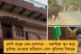 মৃত্যুর পরও তিনজনকে নতুন জীবন – অঙ্গদানে নয়া নজির গড়ল শহর কলকাতা