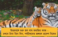 উত্তরবঙ্গে শুরু হল বাঘ শুমারির কাজ – চলবে টানা তিন দিন, পর্যটকদের জঙ্গলে প্রবেশ নিষেধ