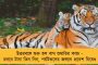 সব থেকে বেশি বার ম্যাচে সেরার পুরস্কার ডেভিড ওয়ার্নারের ঝুলিতে – তবুও রেকর্ড গড়া হল না তাঁর