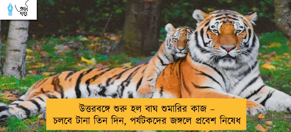 উত্তরবঙ্গে শুরু হল বাঘ শুমারির কাজ – চলবে টানা তিন দিন, পর্যটকদের জঙ্গলে প্রবেশ নিষেধ