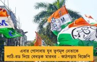 এবার গোসাবায় যুব তৃণমূল নেতাকে লাঠি-রড দিয়ে বেধড়ক মারধর - কাঠগড়ায় বিজেপি