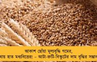আকাশ ছোঁয়া মূল্যবৃদ্ধি গমের, মাথায় হাত মধ্যবিত্তের! – আটা-রুটি-বিস্কুটের দাম বৃদ্ধির সম্ভাবনা