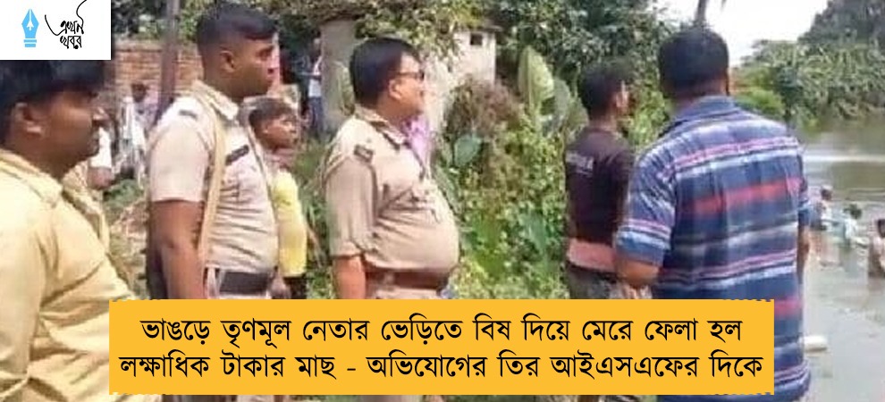 ভাঙড়ে তৃণমূল নেতার ভেড়িতে বিষ দিয়ে মেরে ফেলা হল লক্ষাধিক টাকার মাছ - অভিযোগের তির আইএসএফের দিকে