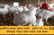 মুদ্রাস্ফীতির আগুনে জ্বলছে বাঙালি - মুরগির দাম ৩০০ ছুঁইছুঁই, রবিবারের পাতেও অধরা থাকতে পারে চিকেন