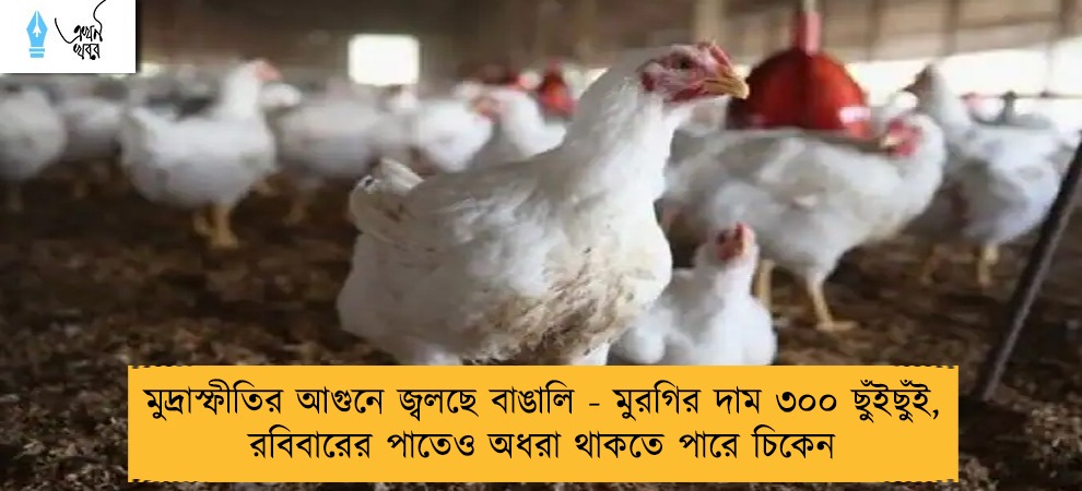 মুদ্রাস্ফীতির আগুনে জ্বলছে বাঙালি - মুরগির দাম ৩০০ ছুঁইছুঁই, রবিবারের পাতেও অধরা থাকতে পারে চিকেন