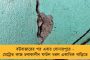 ডিসেম্বর থেকে ১০০ দিনের কাজের টাকা দিচ্ছে না কেন্দ্র - অভিযোগ তুলে ক্রাইসিস ফান্ড গঠনের নির্দেশ মমতার