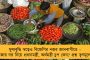 বর্ষা এসে গেল - উত্তর থেকে দক্ষিণে বজ্রবিদ্যুৎ সহ বৃষ্টির সম্ভাবনা, সতর্কতা আবহাওয়া দফতরের
