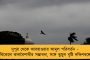 ছন্দে ফিরছে বাংলা - ২৪ ঘণ্টায় রাজ্যের পজিটিভিটি রেট তলানিতে, মাত্র ০.৪৬ শতাংশ