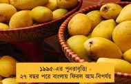 ১৯৯৫-এর পুনরাবৃত্তি! - ২৭ বছর পরে বাংলায় ফিরল আম-বিপর্যয়