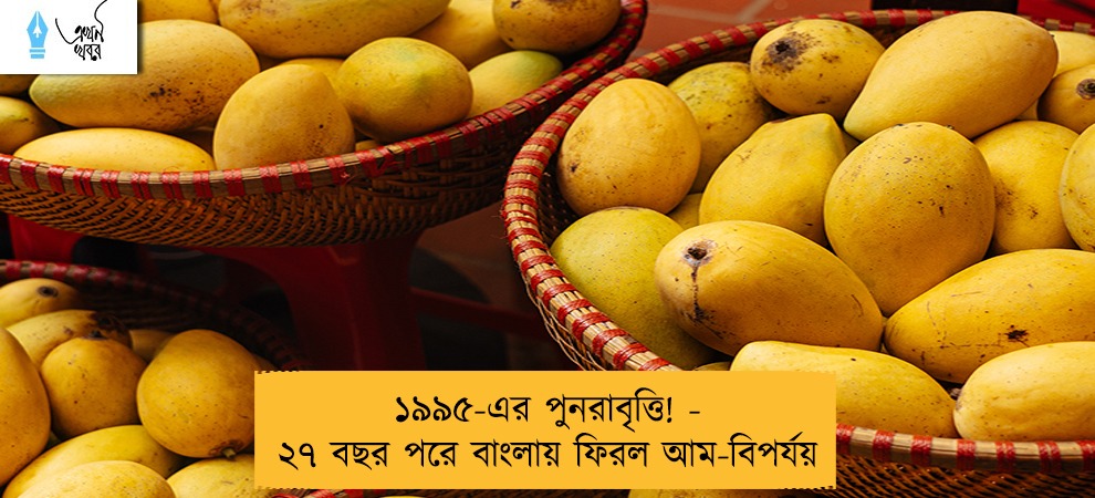 ১৯৯৫-এর পুনরাবৃত্তি! - ২৭ বছর পরে বাংলায় ফিরল আম-বিপর্যয়