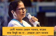 মোদী সরকার ভেজাল সরকার, কাজের কাজ কিছুই হয় না - কেন্দ্রকে তোপ মমতার