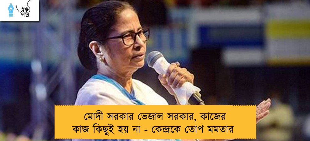 মোদী সরকার ভেজাল সরকার, কাজের কাজ কিছুই হয় না - কেন্দ্রকে তোপ মমতার