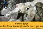 মিলল রাষ্ট্রসঙ্ঘের স্বীকৃতি - এবার থেকে প্রচারের জন্য ব্যবহৃত হবে বাংলা ভাষাও