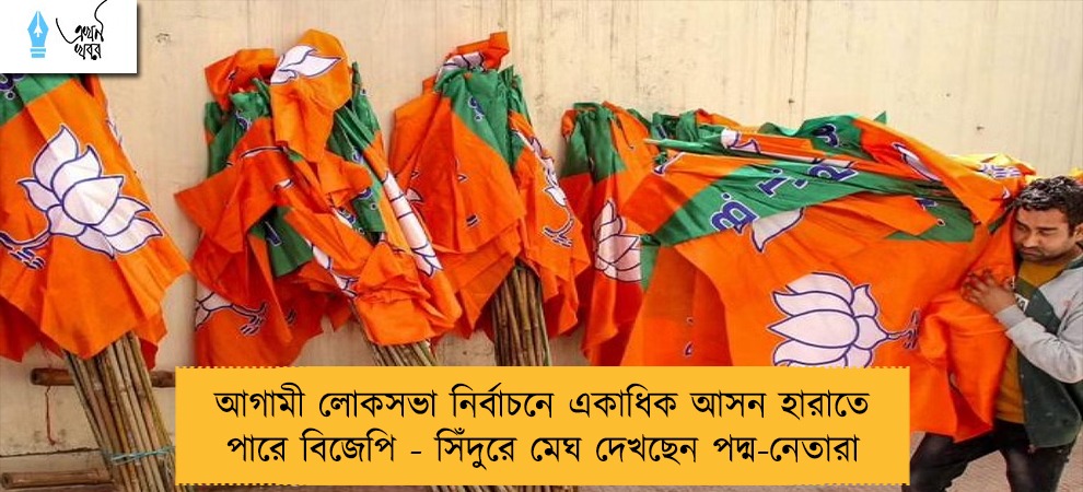 আগামী লোকসভা নির্বাচনে একাধিক আসন হারাতে পারে বিজেপি - সিঁদুরে মেঘ দেখছেন পদ্ম-নেতারা