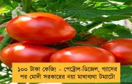 ১০০ টাকা কেজি! – পেট্রোল-ডিজেল, গ্যাসের পর মোদী সরকারের নয়া মাথাব্যথা টম্যাটো