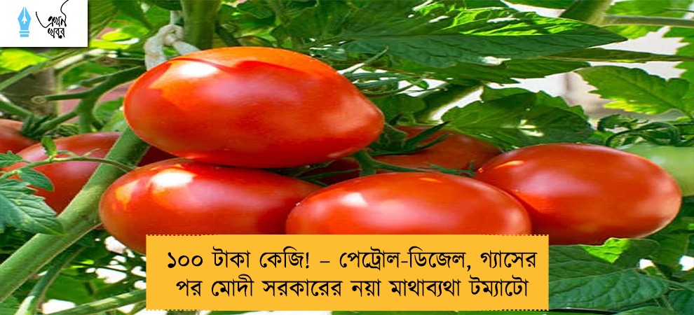 ১০০ টাকা কেজি! – পেট্রোল-ডিজেল, গ্যাসের পর মোদী সরকারের নয়া মাথাব্যথা টম্যাটো