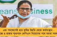 এক পদক্ষেপেই হবে কৃষির উন্নতি থেকে কর্মসংস্থান - রাজ্যে ৪ হাজার শূন্যপদে কেপিএস নিয়োগের পথে মমতা সরকার