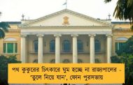 পথ কুকুরের চিৎকারে ঘুম হচ্ছে না রাজ্যপালের - ‘তুলে নিয়ে যান’, ফোন পুরসভায়