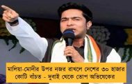 মালিয়া-মোদীর উপর নজর রাখলে দেশের ৩০ হাজার কোটি বাঁচত - দুবাই থেকে তোপ অভিষেকের
