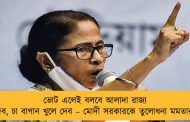 ভোট এলেই বলবে আলাদা রাজ্য দেব, চা বাগান খুলে দেব – মোদী সরকারকে তুলোধনা মমতার