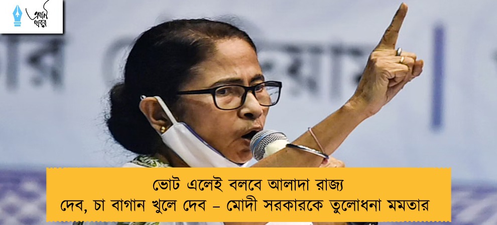 ভোট এলেই বলবে আলাদা রাজ্য দেব, চা বাগান খুলে দেব – মোদী সরকারকে তুলোধনা মমতার
